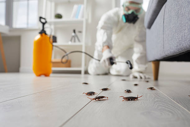 Commercial Kitchen Cockroach Control in Kanab